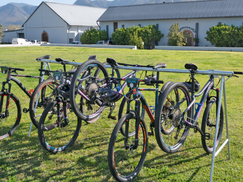 Hike, Bike and Kayak Adventures